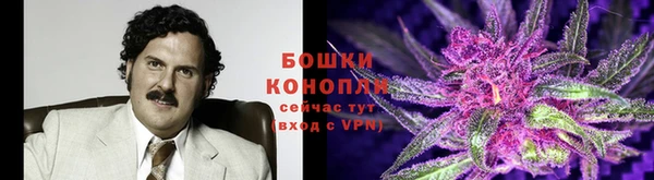 молекула духа Белокуриха