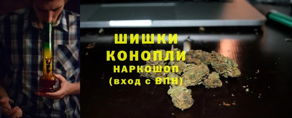 молекула духа Белокуриха