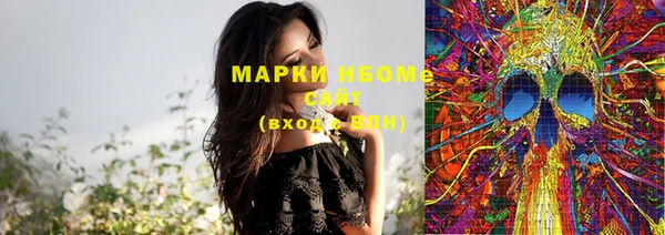 молекула духа Богородицк