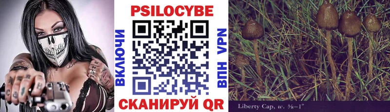 цены наркотик  это телеграм  Псилоцибиновые грибы GOLDEN TEACHER  Светлогорск 